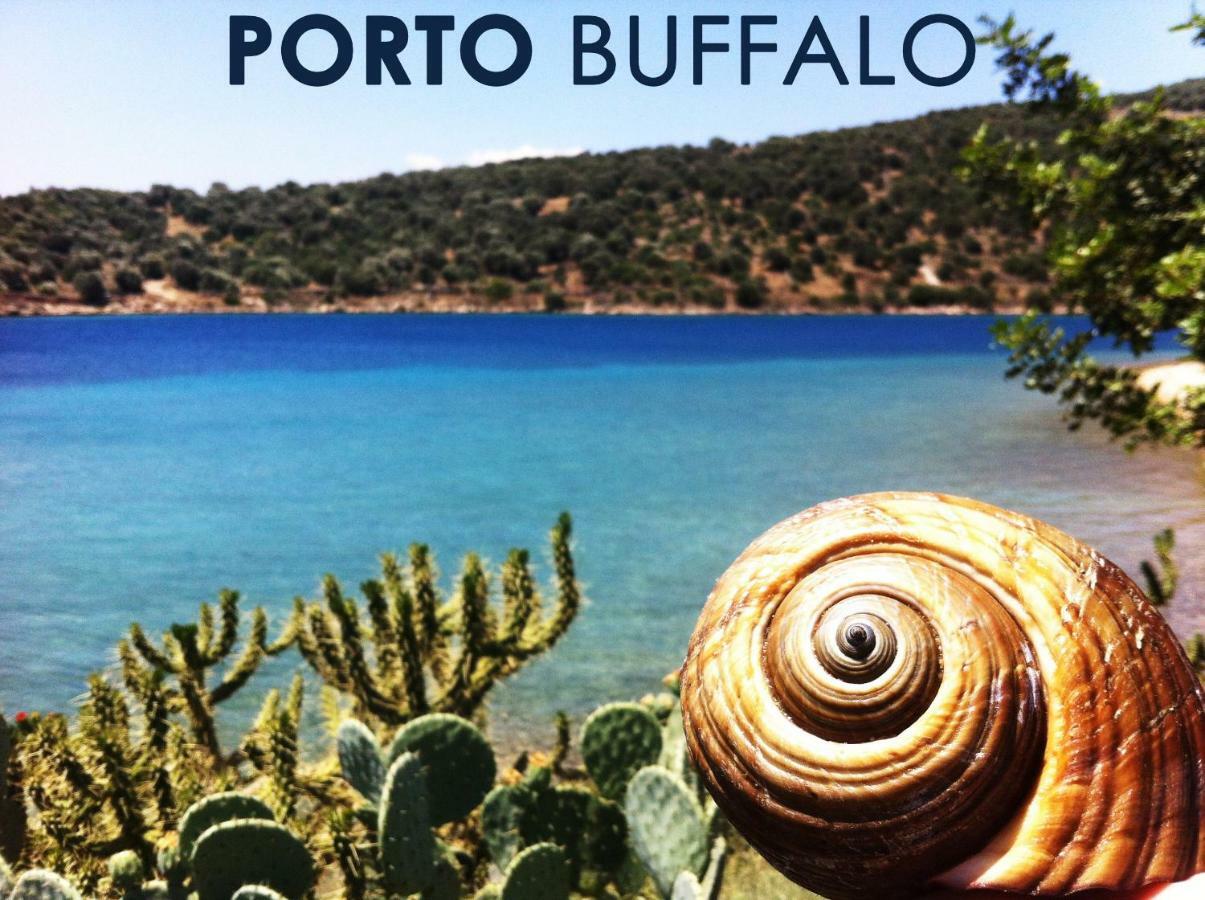 Sea Front Studio - Porto Boufalo - Evia Kültér fotó
