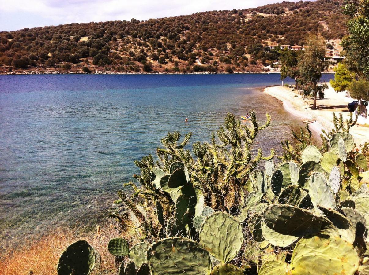 Sea Front Studio - Porto Boufalo - Evia Kültér fotó